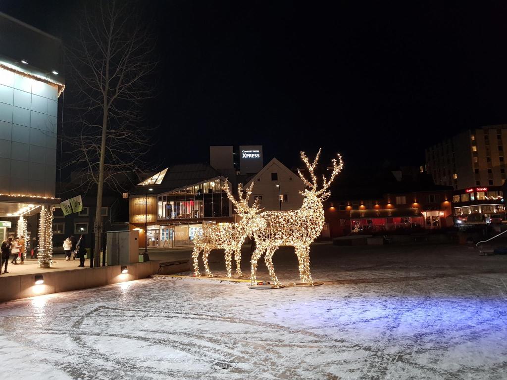 Two light up deer figures in central Tromsø
