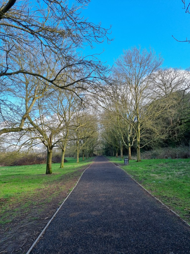 Park scenery, south-east UK