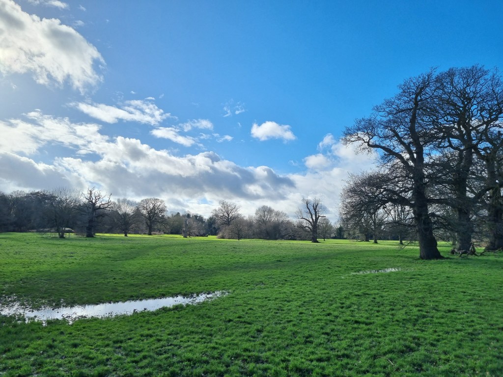 Park scenery, south-east UK