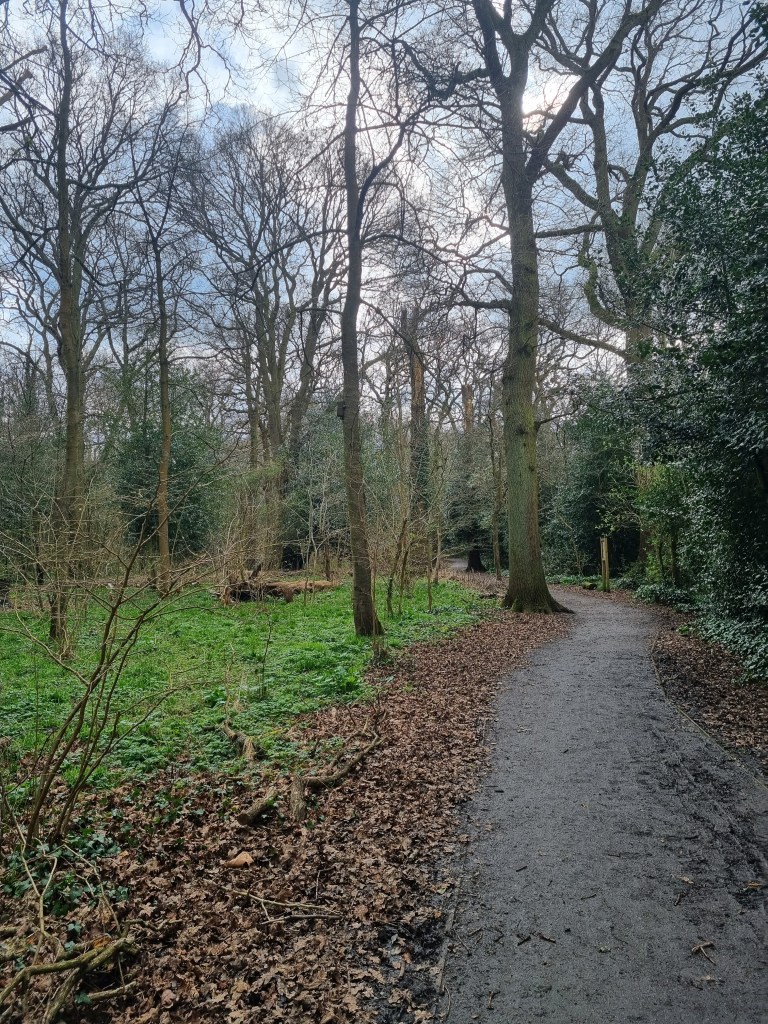 Woodland scenery, south-east UK