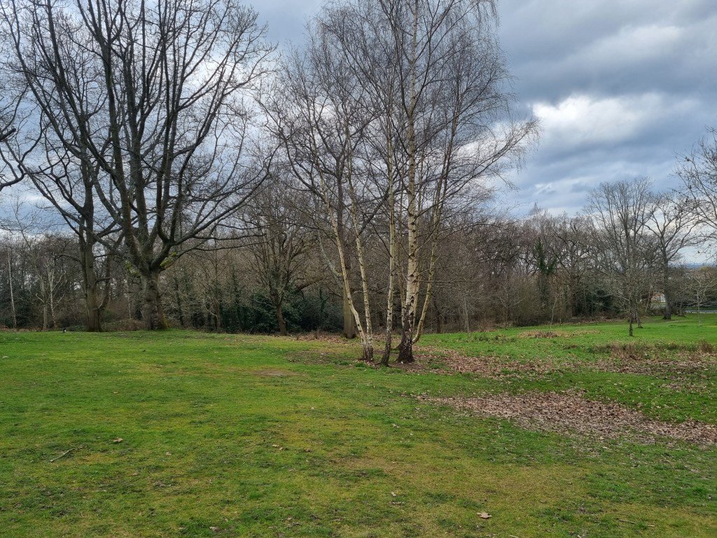 Woodland scenery, south-east UK