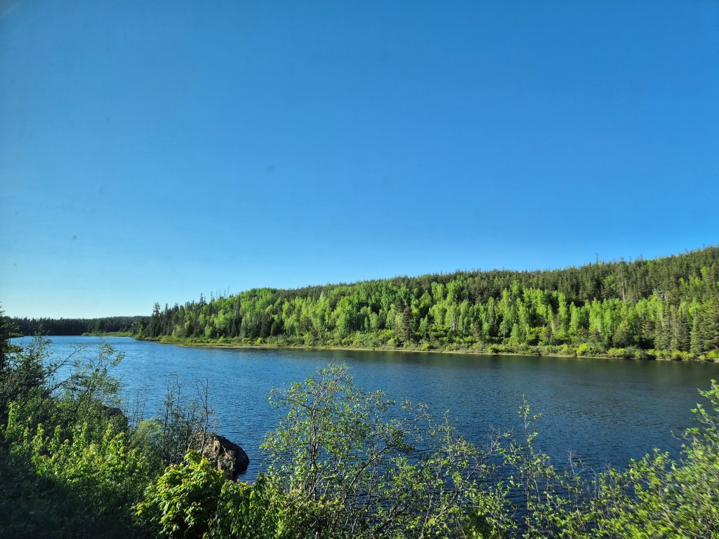 Lake and forest in Ontario