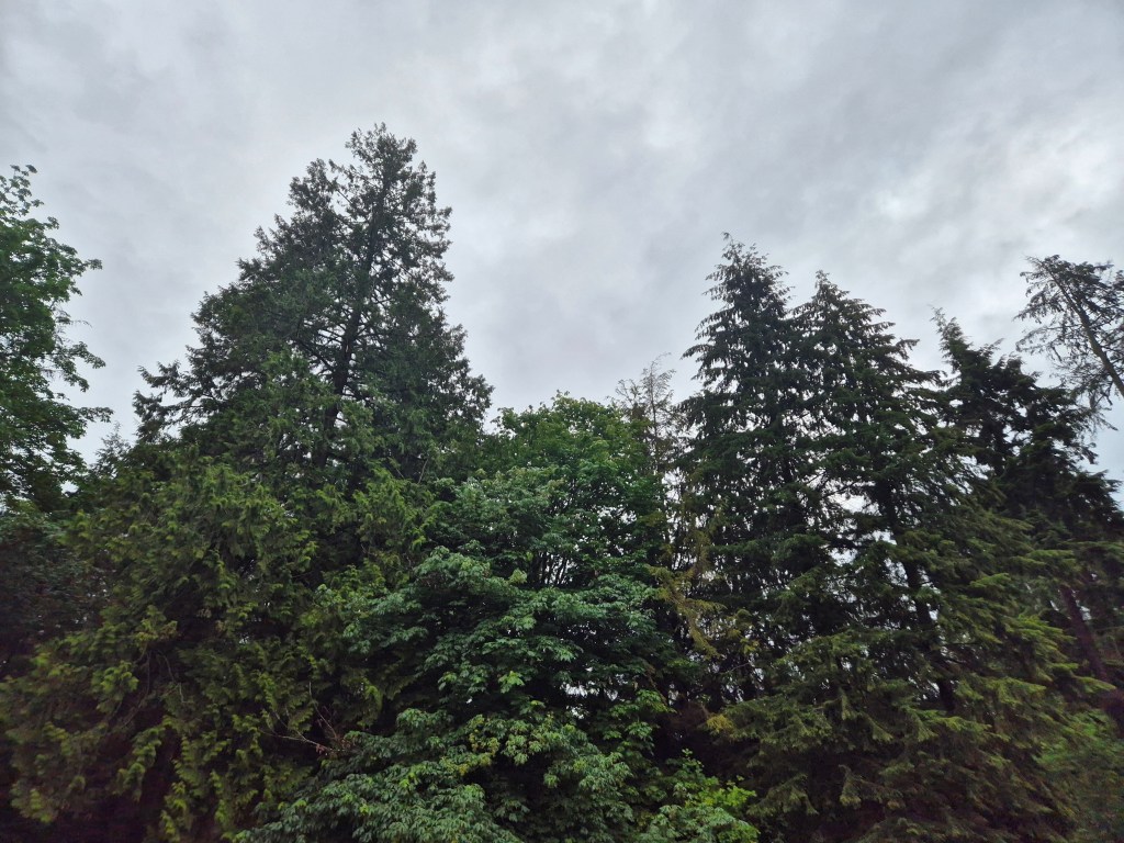 Stanley Park, Vancouver