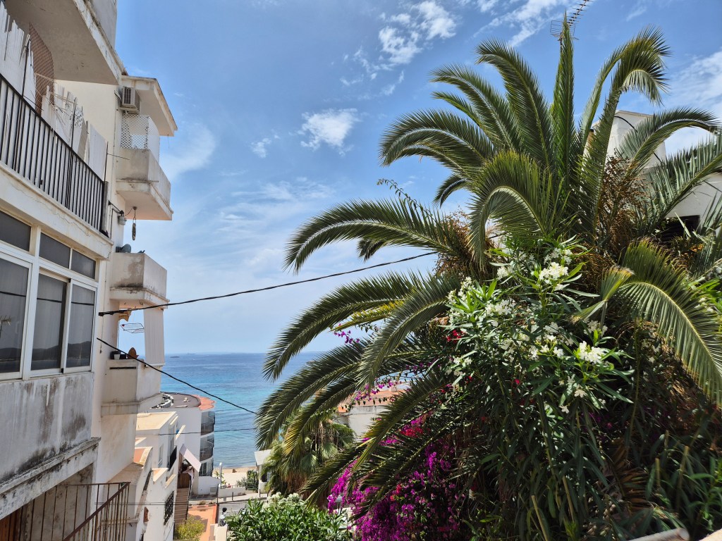 Flora & sea in Ibiza