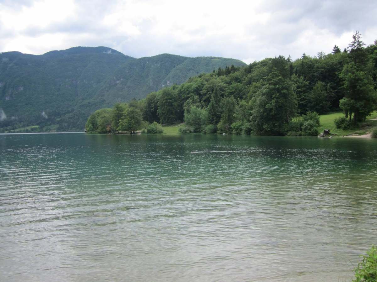 Slovenia calls!